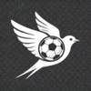 雨燕足球官方Logo - 免费高清足球直播平台标志